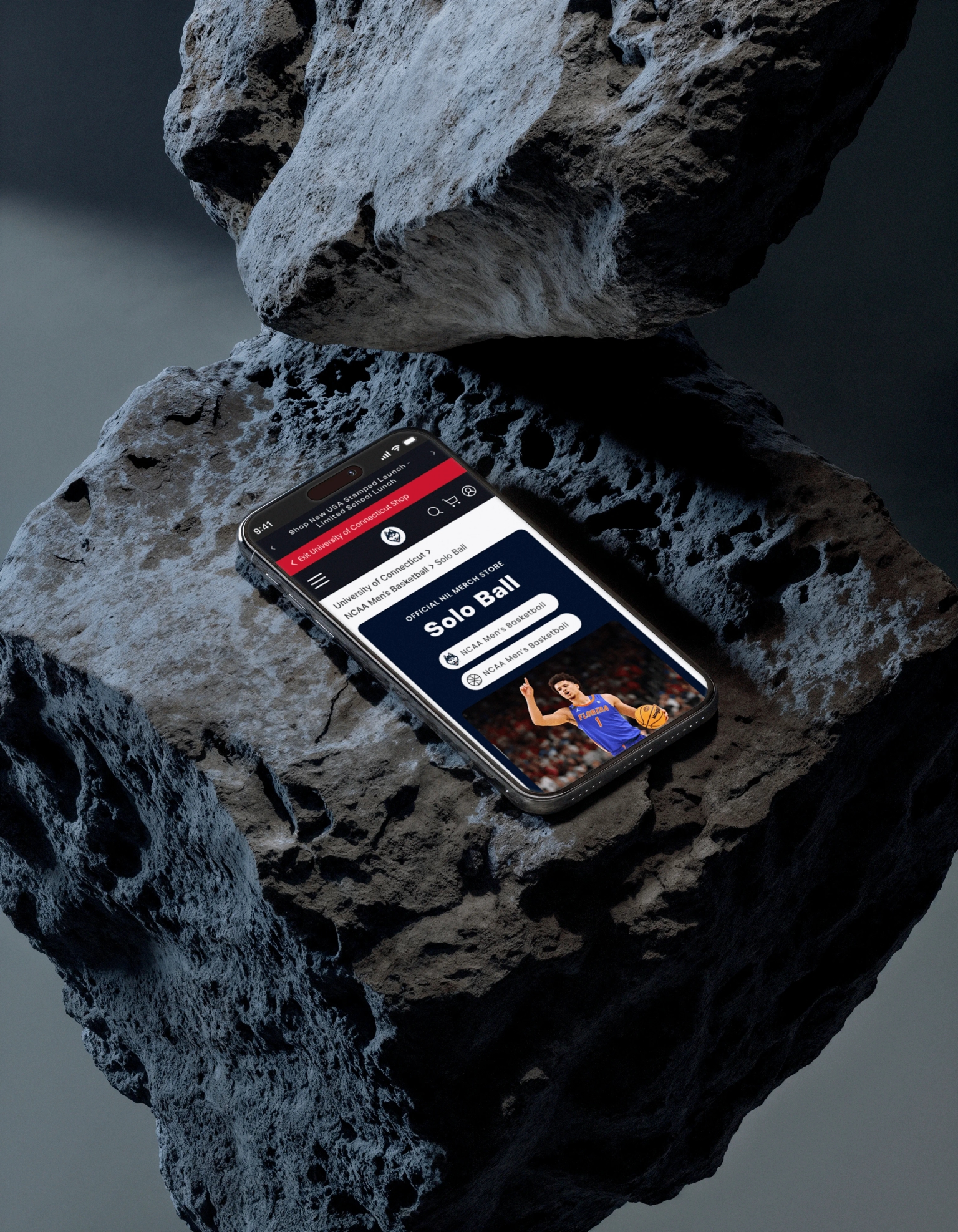 Genesys Solution Image b